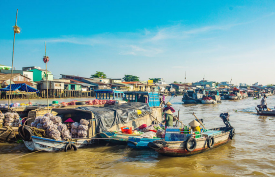 Review Of 6 Days In Can Tho Sadec Long Xuyen Tour By Lago