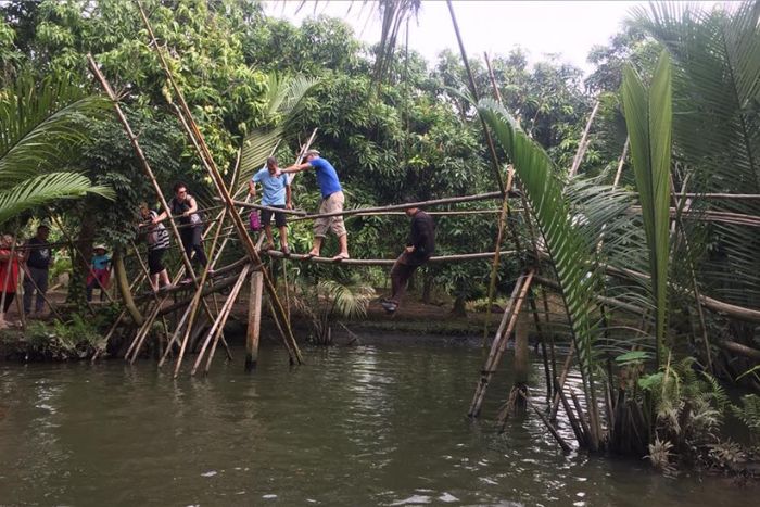 Visiting tropical orchards in the Mekong Delta