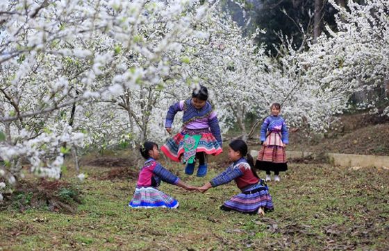Review Of 1-week In Sapa Bac Ha Vietnam Itinerary By Laurine
