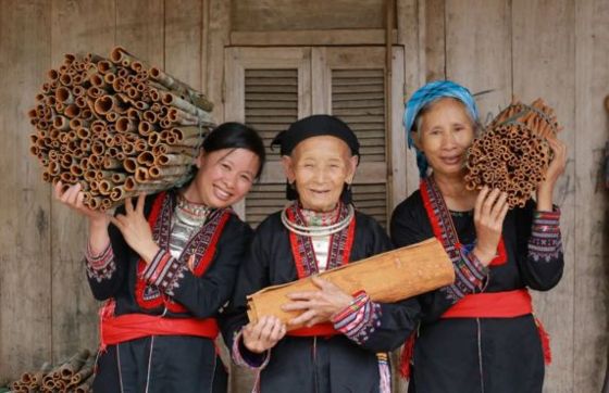 Coc Ly Tuesday Market: A Highlight Of Your Trip To Sapa Vietnam