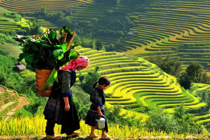 The Dao ethnic group in Lao Chai Village