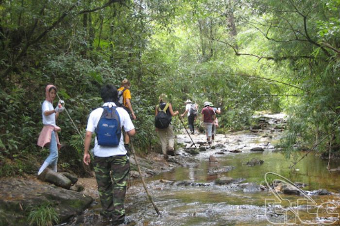 What to visit in Sapa in 5 days? Hoang Lien National Park.