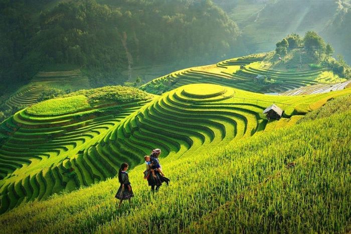 Sapa, the perfect coolcation destination
