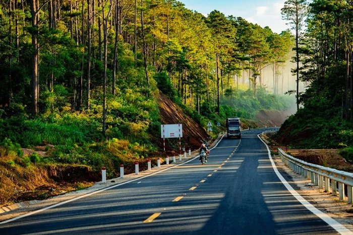 The pine forests of Mang Den