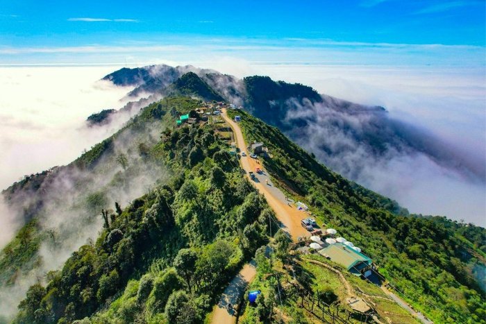 Vietnam's highland regions generally enjoy a cool climate all year round