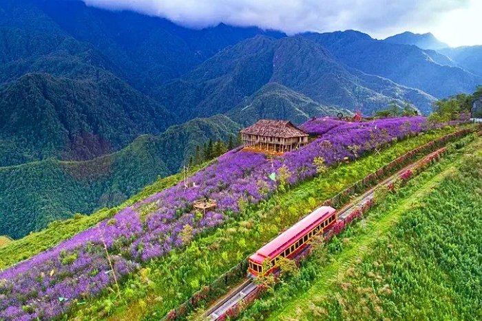 The surreal beauty of Muong Hoa Valley in Sapa