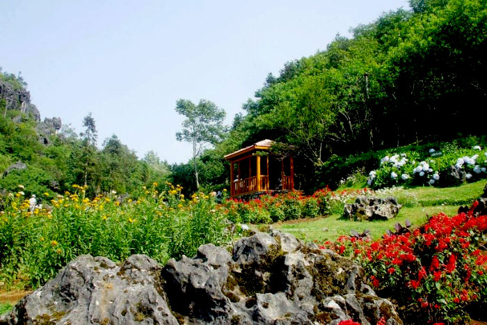 Flower Gardens of Ham Rong Mountain