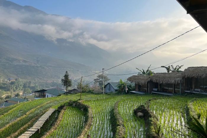 Comlam Eco House