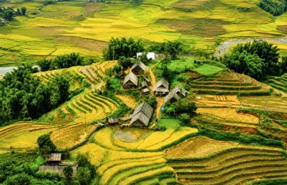 Top Homestays In Ma Tra Ta Phin Village In Sapa