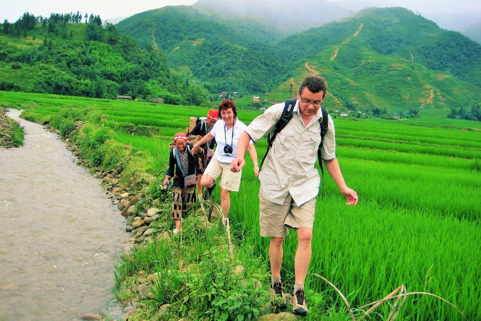 Tourists trek through green rice paddies