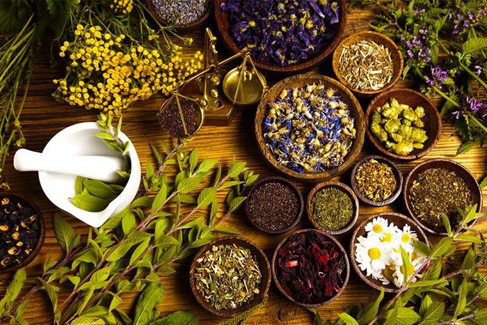 Various types of beneficial herbs for a single bathing session