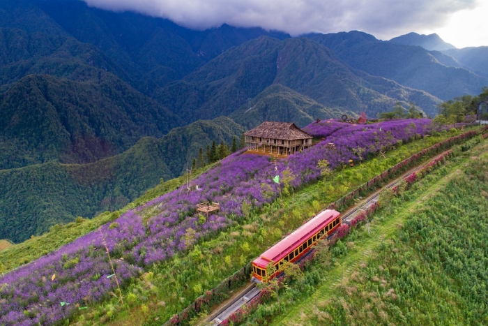 Muong Hoa Valley