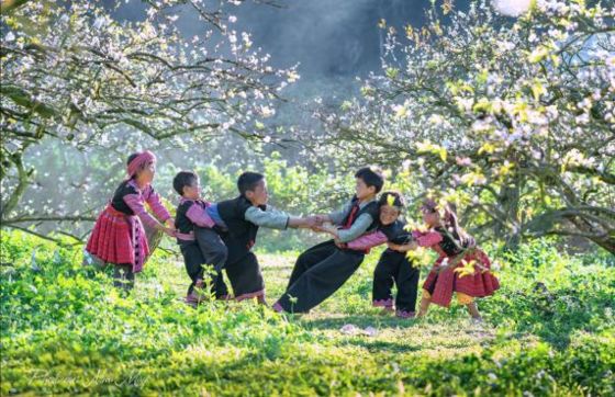 Sapa Or Bac Ha: Which Place Is Best For A Trip To Northern Vietnam?