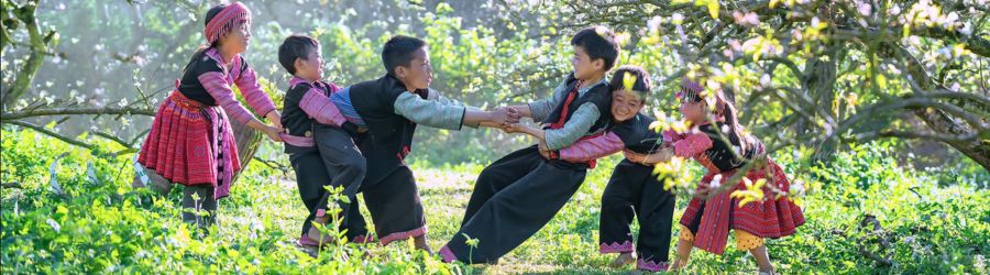 Choosing Sapa or Bac Ha for your Northern Vietnam trip? (Photo: plum blossom season in Bac Ha)