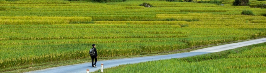 Sapa or Ha Giang - which is better ?