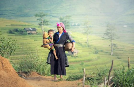 Sapa Or Pu Luong Nature Reserve? Which Is Better For Your Vietnam Trip