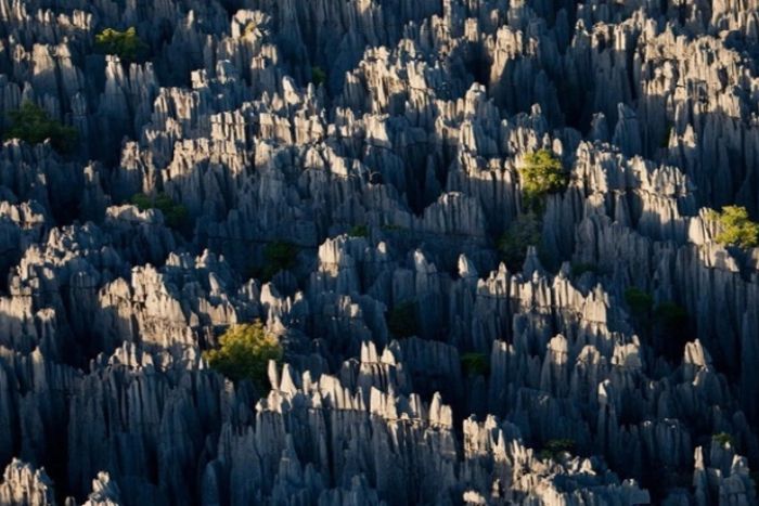 San Chai gray stone forest in Si Ma Cai