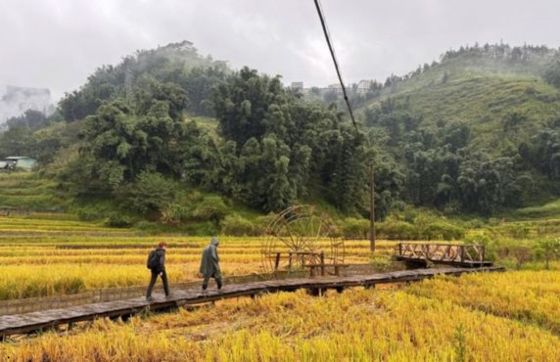 What Do Do In Lao Cai? Top Things To Do For Your Northern Vietnam Trip