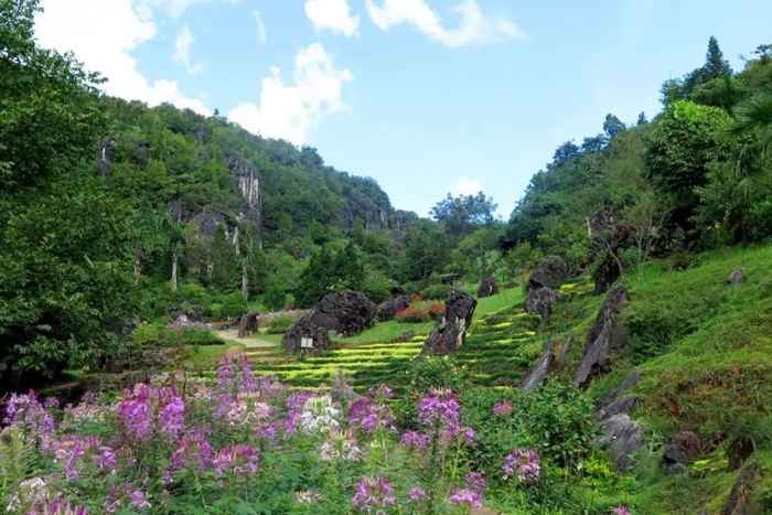 Sapa Attractions - Ham Rong Mountain