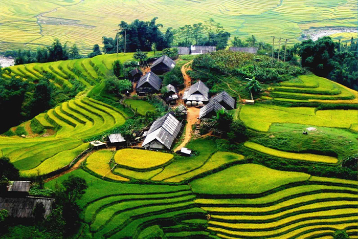 Vietnam in August, admire terraced fields in Sapa