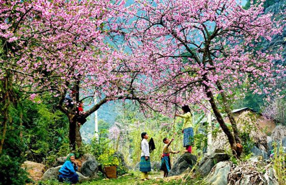 Top 16 Best Homestays In Sapa, Vietnam