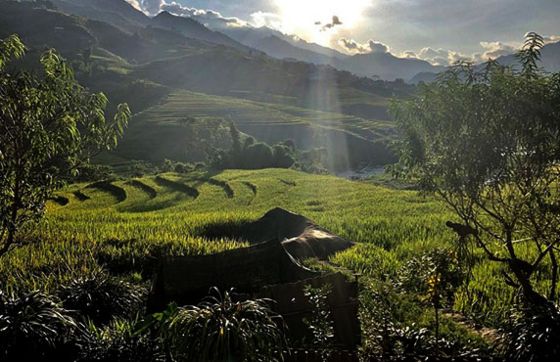 What To Do In Sapa? Visit Giang Ta Chai Village Sapa