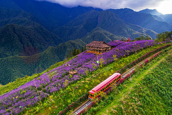 Beauty of Muong Hoa valley 