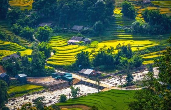 Why Visit Y Linh Ho Village Sapa? A Scenic Land In Northern Vietnam