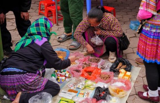 Travel To Sapa: Y Ty Saturday Market Full-day Trip With Mr. Ben Toure
