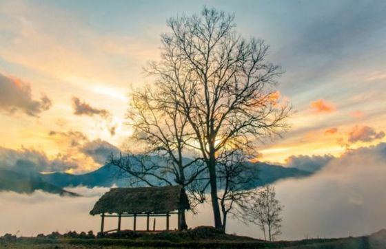 What To Do In Y Ty Sapa? Explore The Cloud Land In Northern Vietnam