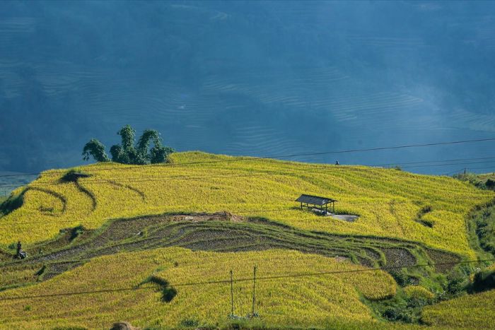 Cloud hunting on Lao Than mountain in Y Ty