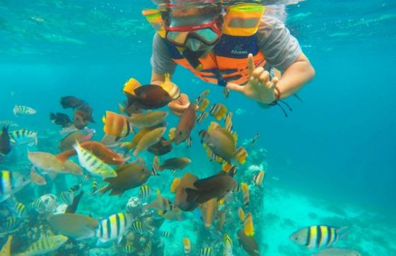Snorkeling In Northern And Southern Vietnam - Which Region Is Best ?