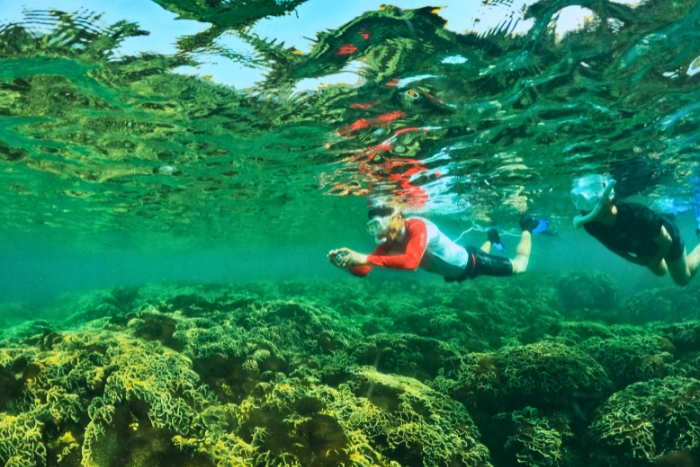 Coral formations beneath Nam Du waters