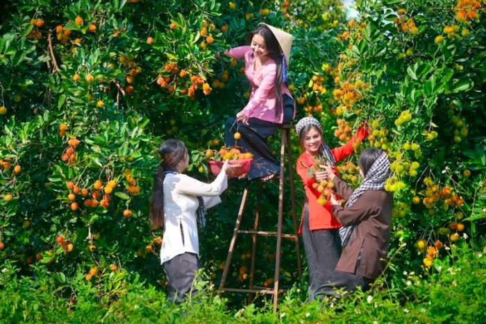 Visiting fruit orchards is definitely a must in any Mekong Delta tour