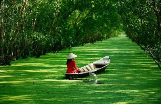 Opinion On The 5-day Itinerary In Tien Giang Vietnam By Ms Karine