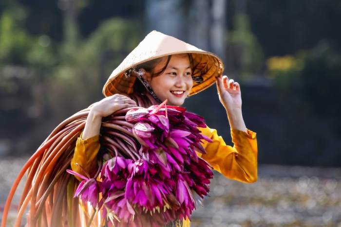 Flower Season in Tien Giang, Vietnam