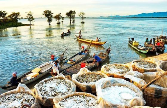 Top 11 Best Things To Do In My Tho, Vietnam