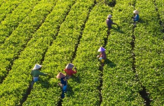 Which Vietnam Central Highlands Tour Packages Should You Choose?