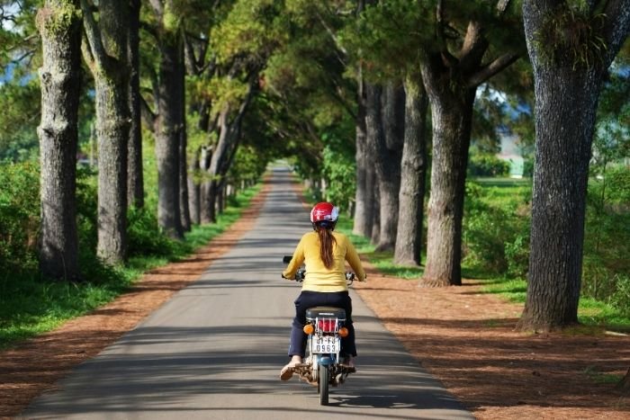 The Central Highlands reveal a more rural side of Vietnam
