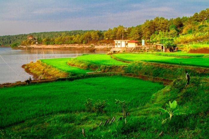Pleiku&rsquo;s rural landscapes offer beautiful walking opportunities