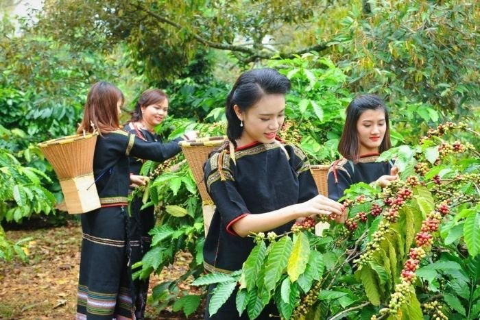 Every community has its own customs, languages, and traditional knowledge