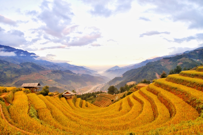 The iconic Mong Ngua (Horseshoe) Hill in Sang Nhu Village, Mu Cang Chai