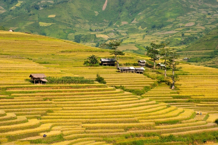 Tu Le Valley, Vietnam