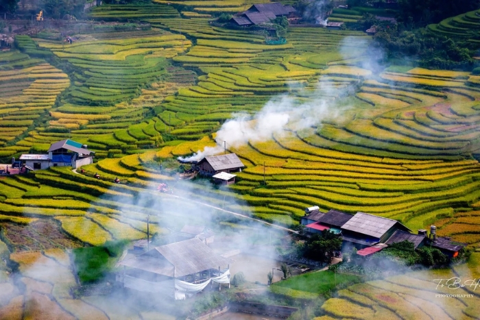 August - Sapa&rsquo;s golden rice season