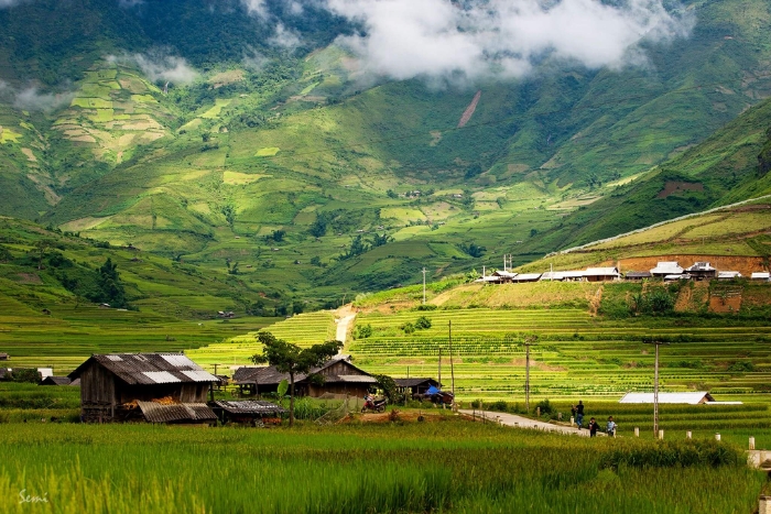 Y Ty, Lao Cai