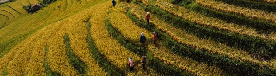 Autumn in Vietnam - best things to do