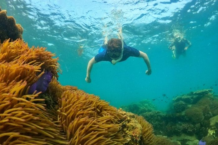 Phu Quoc - a top destination for diving in Vietnam