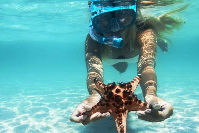 Snorkeling in Con Dao