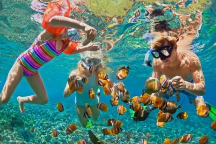 Pratical tips for a Vietnam trip
