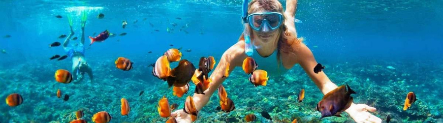 Best time to go snorkeling in South Vietnam
